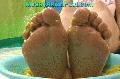 preview pic messyasianfeet.com