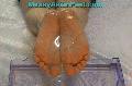preview pic messyasianfeet.com