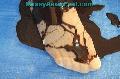 preview pic messyasianfeet.com